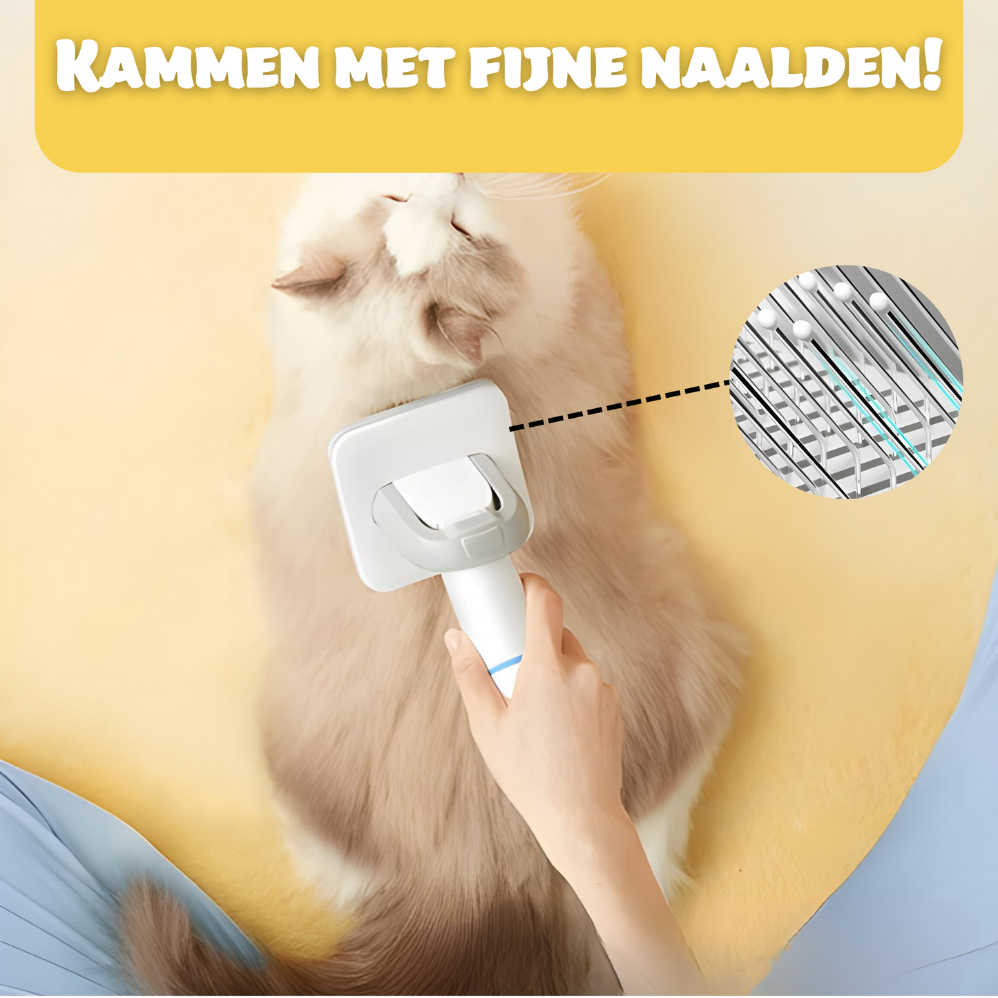 Fluff & Paws - Furry Trim Medium