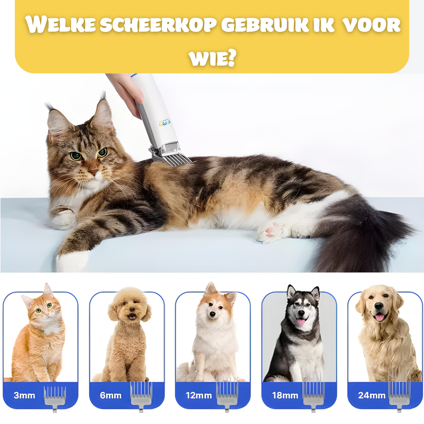 Fluff & Paws - Furry Trim Medium