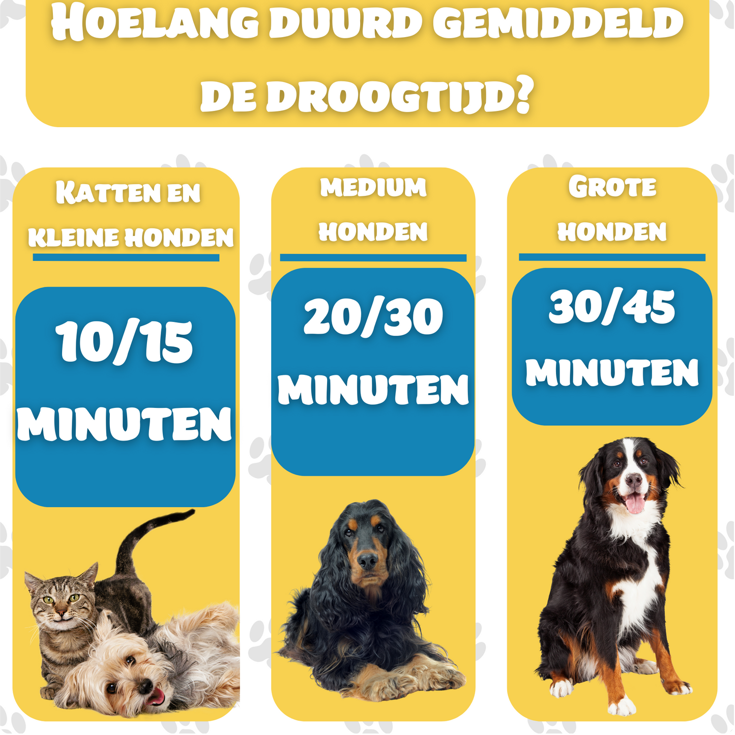 Fluff & Paws - Furwind Pro